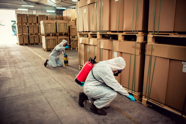 Best Pest Control Near Me  in Elmira, NY
