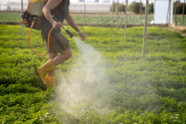 Best Pest Prevention Services  in Elmira, NY