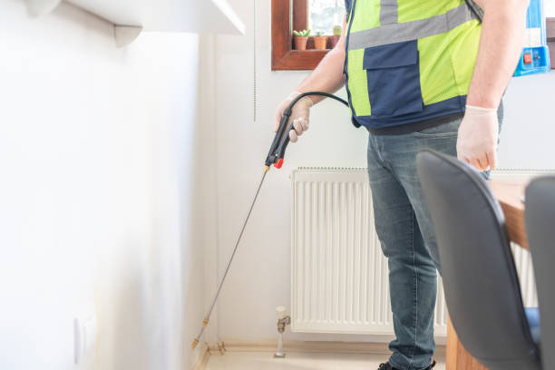 Best Bed Bug Extermination  in Elmira, NY