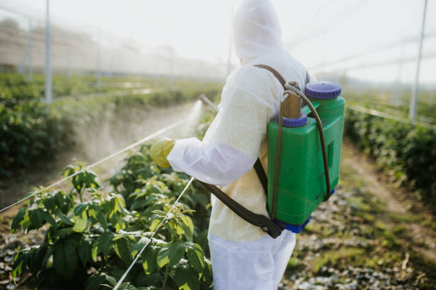Best Residential Pest Control  in Elmira, NY